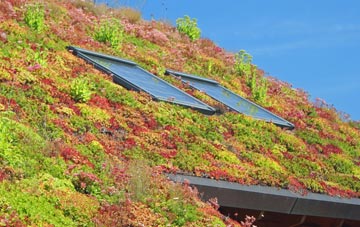 Longborough living roof systems
